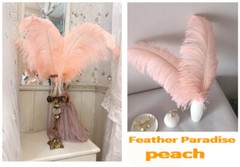 Peach Blush Pink 12 Pieces Ostrich Feather 12-14 inches Dozen Wedding Centerpiec