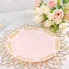 10 Blush Round 10″ Salad Plates Gold Trim Party Wedding Catering Disposable Home
