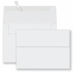 YINUOYOUJIA 100 Pack A4 Envelopes,4×6 White Envelopes,Self 4×6 inches,