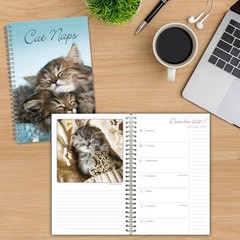2026 Weekly & Monthly Planner, 16-Month Engagement Calendar: September Cat Naps