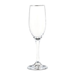 Champagne Flutes Set Elegant Toasting Glasses Perfect Weddings Celebrations 2 PC