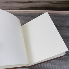 Pottery Barn Leather Bound Photo Album Book Medium Saddle Tan OB