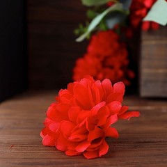 12 Chrysanthemum Mums Bushes Wedding Decoration Centerpieces Bouquet SALE