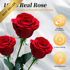 Real Preserved Red Roses in a Box Gift for Birthday Anniversary Valentines Day