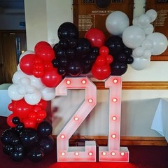 Red and Black Balloons,132pcs Red Black and White Red White & Black(132pcs)