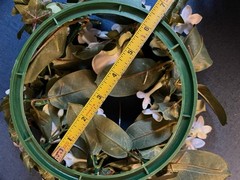 Stephanotis & White Rose Candle Rings, Dk Green Leaves-10″Dia . Set Of 14