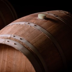 5 Pieces White Oak Wine Barrel Bung 2 Inch about 1-7/8 inch, wood colors