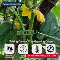 100 Pcs Plant Support Clips, Secure Plastic Plant Clips for Support Grape Vine,