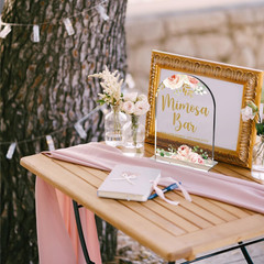 Acrylic Wedding Signs, Bridal Shower Decorations, Mimosa Bar Signs for Reception