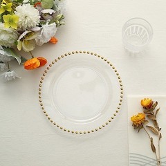CLEAR GOLD 10 Round 8″ Plastic Salad PLATES Beaded Rim Party Events Decorations