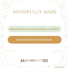 Magnificent 101 Long-Lasting Healing – 3.5 Oz Each 42-Hr Burn Soy