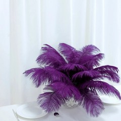 12 pcs 10-15″ long Purple Genuine Ostrich FEATHERS Wedding Party Centerpieces
