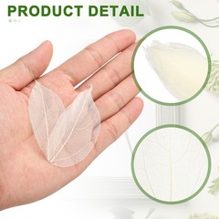 100Pcs White Skeleton Leaves 2″- 3″ Rubber Tree Scrapbooking