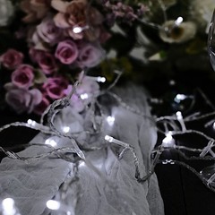 22 feet White 100 LED Lights Garlands Wedding Party Centerpieces Decorations