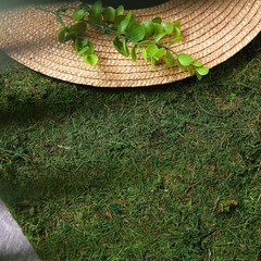 18″ x 16″ Green Natural Preserved Moss Sheet Party Wedding Crafts Decorations