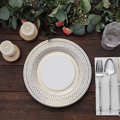 25 WHITE GOLD 10″ Porcelain Design Round Paper PLATES Party Events Decorations