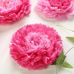 6 pack 12″ 16″ 20″ Pink and Fuchsia Tissue Paper Carnation Flowers Sale Backdrop