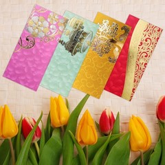Shagun Gift Envelope Pack of 10 Assorted Color Designs Money Holder Fancy Pac…
