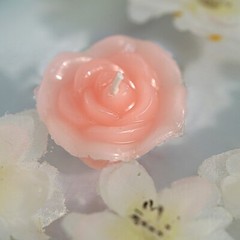 12 PINK Mini Roses Floating CANDLES Party Wedding Centerpieces Supplies