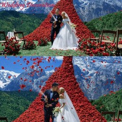 2200 Count Realistic Dark-Red Silk Rose Petals – Ideal for Weddings & Events