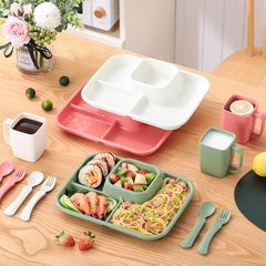 Aiyoo Unbreakable Rectangular Divided Plates For Adults 4 Sections Portion