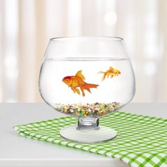 Clear Bubble Bowl Glass Fish Bowl Terrarium Globe Flower Vase Hydroponic Vase