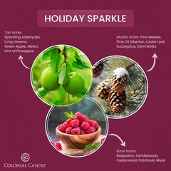 Colonial Candle Holiday Sparkle Purple 3-Wick Jar Candle, 14.5oz, 60 Hr Burn