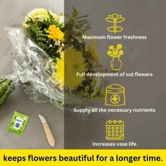 Clear Flower Food Packets for Flower Arrangements & Bouquets – (5g – 200 Ct)