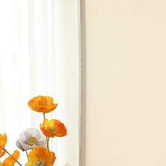 6 ft BEIGE Matte Fitted Spandex Round Top Arch Backdrop STAND COVER Party