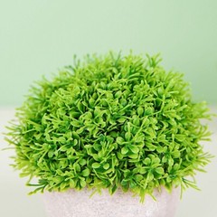 2 Green 5″ Mini Boxwood Topiary ARTIFICIAL PLANTS Planter Pots Home Decorations