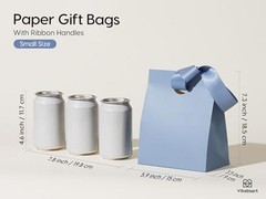 Paper Gift Bags With Ribbon Handles Set of 10 Small Size/10pcs 10 Mixed Colors