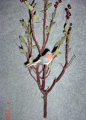 6 Fresh-Cut RED Manzanita Branches for Vertical Centerpieces *SIX!* 16″-20″