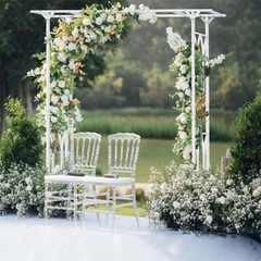 Wide Garden Arch Metal Archway Gate Rose Vine Plants Climbing Trellis Heavy Duty