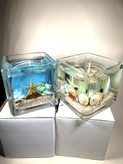 2X Seashells and Sand Scented Gel Candles inside Glass