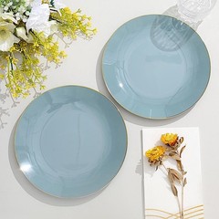 DUSTY BLUE 10 Glossy 8″ Round Plastic Salad PLATES Gold Rim Party Events