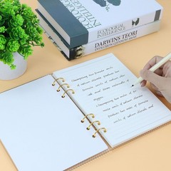 MultiBey A5 Binder 6-Ring Clear Stripe Acrylic Notebook Cover, Gold Metal Rou…