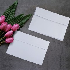 50 Pack White Envelopes – 5 x 7 Inch, A7, Card, Invitation & 5X7,