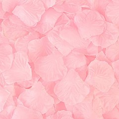 1000 Pieces Artificial Silk Rose Petals Flower Decoration Wedding Light Pink
