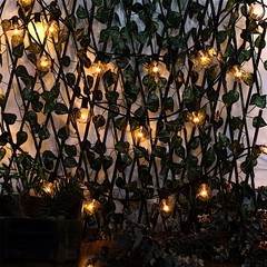 25 ft Warm White 28 Incandescent Bulbs String Lights Garland Wedding Decorations