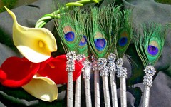 The12 Peacock Feather Pen PartyFAVOR forWeddings,Sweet16, Bridal ,Quinceañera,Bo