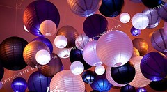 6 Rose 12″ Paper Chinese Lantern Lamp Shade Wedding Party Decoration Supplies