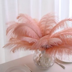 12 pcs 13-15″ long Mauve Genuine Ostrich FEATHERS Wedding Party Centerpieces