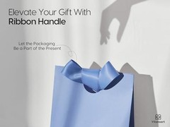 Paper Gift Bags With Ribbon Handles Set of 10 Small Size/10pcs 10 Mixed Colors