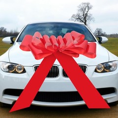Reusable Wedding Car Bow PVC Material Large Red Bow for Decor and Special Events