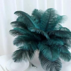 12 pcs 13-15″ long Teal Genuine Ostrich FEATHERS Wedding Party Centerpieces