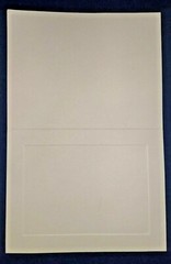 VINTAGE Card 50/pk Embossed Rectangular Panel 4 7/8″ x 3 1/2″ folded Ivory