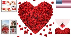1000 Artificial Silk Rose Petals for Romantic Weddings & Special Occasions