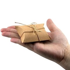 50Pcs Small Kraft Paper Pillow Gift Boxes w/ Twine for Jewelry Candy Party Favor