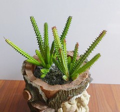 2 Pcs Artificial Small Cactus Column Plants Succulents Grass