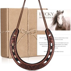 VioraWhite Good Lucky Horseshoe Decor Gift Sets with Card Rope New Home